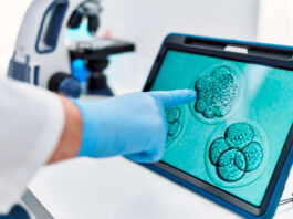 Obispos piden al gobierno de EE.UU. no ampliar la cobertura de seguro para la fecundación in vitro