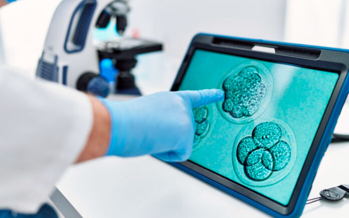 Obispos piden al gobierno de EE.UU. no ampliar la cobertura de seguro para la fecundación in vitro