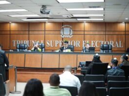 TSE envía al TC caso sobre reglamento para prohibición de encuestas