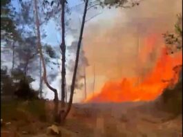 Un fuego afecta zona montañosa de San José de las Matas