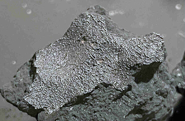Un vecino de Nueva Jersey guardó los restos de un meteorito en tarros de cristal. Ese gesto nos ha dado nuevas pistas del origen de la vida en la Tierra