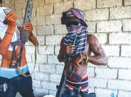 Unicef valora que la ONU incluya a bandas haitianas por violación