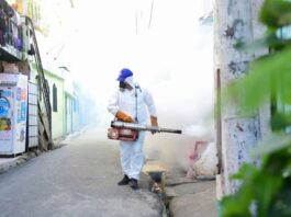 Autoridades sanitarias exhortan eliminar criaderos de dengue