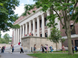 Capellán de Harvard: 80 personas buscan ingresar a la Iglesia Católica, un récord histórico