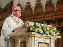 Cardenal pide a obispos de Perú recuperar el espíritu misionero de Santo Toribio: “¿Cuánto tengo de su ejemplo?”