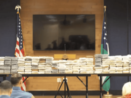 Cocaína valorada en 10 millones incautada en Nueva York