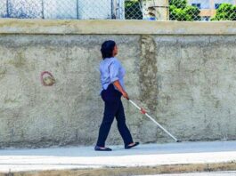 Costo educación inclusiva para estudiantes con necesidades específicas Costo educación inclusiva para estudiantes con necesidades específicas