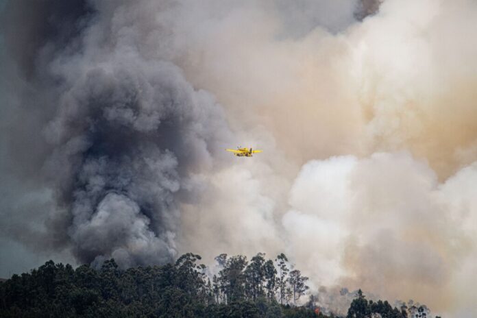 Cuando el fuego crea sus propias tormentas: el aterrador auge de los pirocumulonimbos y su impacto 