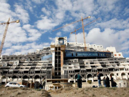 El Algarrobico es el mayor monstruo de la ambición turística desmedida: 411 habitaciones y cero huéspedes