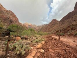 Evacúan a turistas por inundaciones en el Gran Cañón