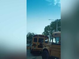 Exigen controlar autobuses que violan normas en San Isidro