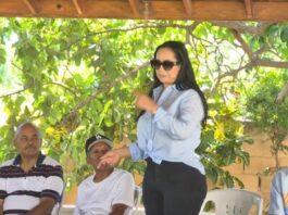 Fuerza del Pueblo designa a Érika Tavares en Barahona