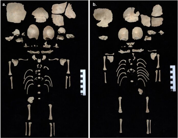 Hace 1.200 alguien decidió proteger a dos bebés gemelos escondiéndolos en un sitio inverosímil: unas letrinas al lado del Templo de Artemisa