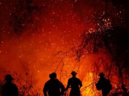 Incendio en Colombia consumen más de 20,000 hectáreas