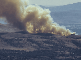 Incendio forestal Reno y estado de emergencia en Washoe
