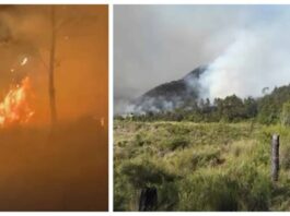 Incendio forestal afecta Parque Nacional Valle Nuevo