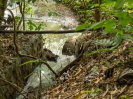 Inoperancia de plantas de tratamiento  genera crisis sanitaria