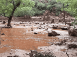 Inundaciones repentinas en el Gran Cañón dejan unos 15 desaparecidos