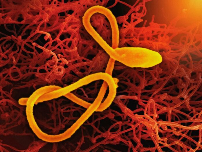 La epidemia de ébola más rápida de la historia avanza a ciegas para la ciencia