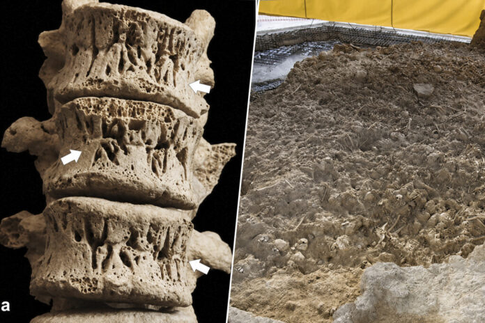 La mayor tumba de la Edad del Cobre en Europa está en Murcia. Y revela una 