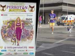 Madrid tiene, cómo no, el maratón de perros más grande de Europa