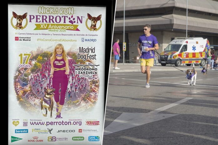 Madrid tiene, cómo no, el maratón de perros más grande de Europa