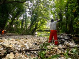 Medio Ambiente coordina retiro de más de 4,400 libras de residuos en Arroyo Manzano