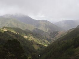 Medio Ambiente recuerda que continúan abiertas las postulaciones al Premio Nacional Ambiental 2026