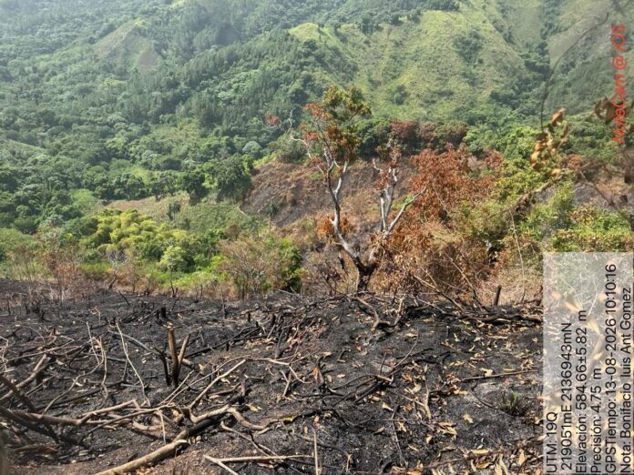 Medio Ambiente y SENPA intervienen zona afectada por desmonte y quema en Dajabón