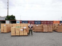 Mercancía ilegal incautada por Aduanas incluye cigarrillos y televisor