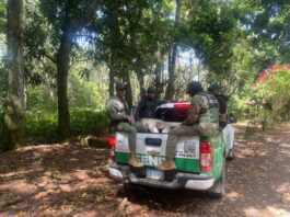 Operativo interinstitucional recupera 496 tareas ocupadas ilegalmente en áreas protegidas