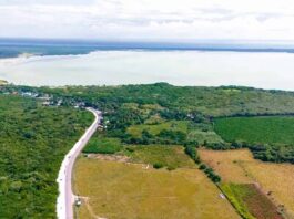 Pedernales espera normas para activar el anunciado puerto espacia Pedernales espera normas para activar el anunciado puerto espacia