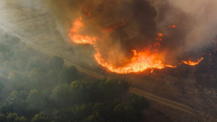 Pensábamos que los megaincendios en España eran una anomalía. La ciencia demuestra que ahora son 20 veces más probables