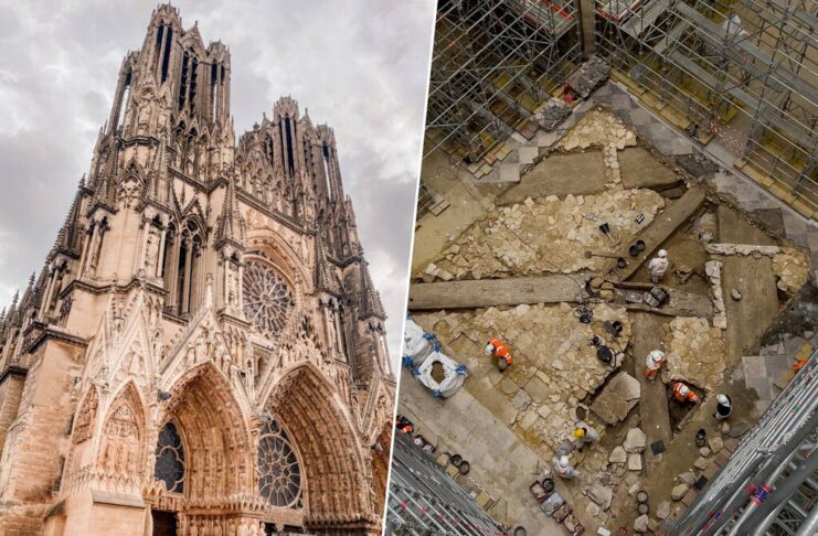 Tras el incendio de Notre-Dame, París solo quería reconstruirla y darle sombra con árboles: la tierra le devolvió Lutecia