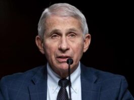 Trump sugiere procesamiento de Anthony Fauci por su gestión