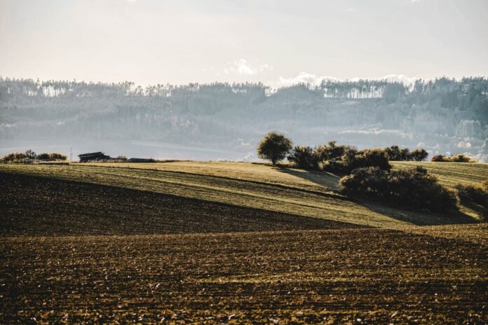 Un agricultor enterró sus calzoncillos en el campo para medir la fertilidad del suelo. Y la ciencia le da la razón