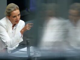 Acusana AfD de querer una "limpieza étnica"