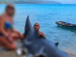 Apresan a pescador por captura de mantarraya en Samaná Apresan a pescador por captura de mantarraya en Samaná