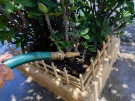 Caasd reprograma trabajos y mantiene servicio de agua potable en SDE