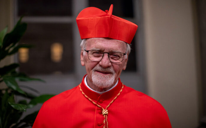 Cardenal Bokalic a jóvenes argentinos: Jesús camina entre nosotros y nos espera en los despreciados
