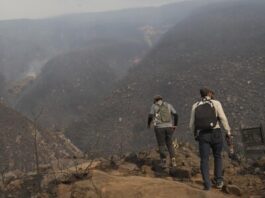 Colombia trabaja sin interrupción por apagar incendio forestal