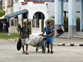 Cuba crea las bases para la entrada del mercado Cuba crea las bases para la entrada del mercado