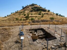 Encuentran en un pueblo de Córdoba más de un kilómetro de una de las grandes carreteras del Imperio romano