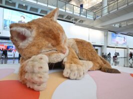 Hong Kong tiene algo que muchos aeropuertos querrían para sí. No es una nueva terminal: es un gato gigante interactivo