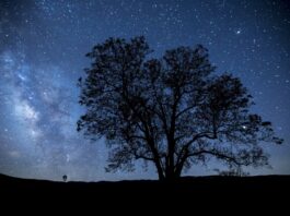 Stephen Hawking: "Cada uno de nosotros vive solo un breve periodo de tiempo, y solo visitamos apenas una minúscula parte del universo"