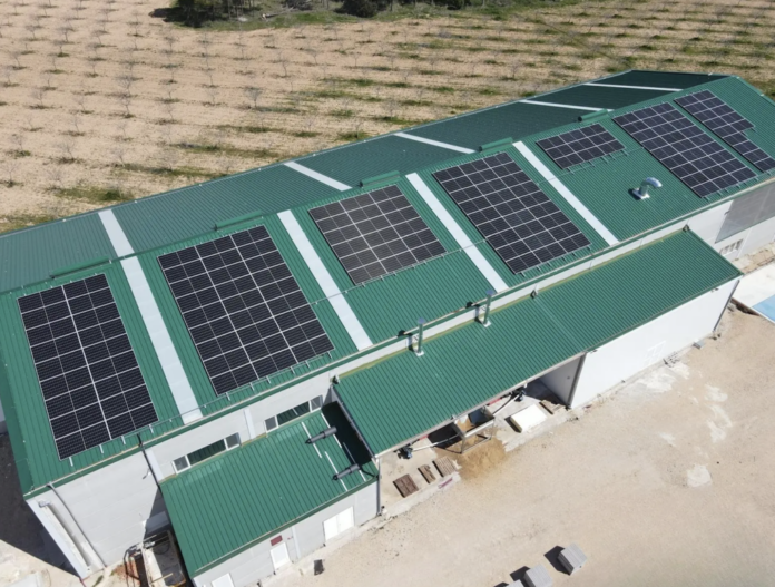 Una planta de pistachos se ha convertido en una isla energética: 136 paneles solares y 108 kWh de baterías