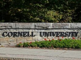 NY reforma ley agresión sexual tras caso en Universidad de Cornell