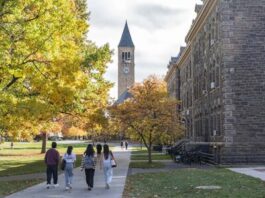 Universidad de Cornell apoya reforma ley de delitos sexuales de NY